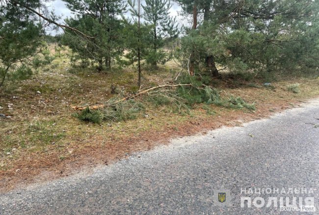 На Волині 20-річний мотоцикліст врізався у дерево