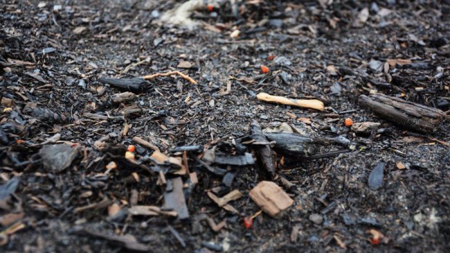 Бурштин як альтернатива заробіткам в Росії: екскурсія на клондайк на Рівненщині