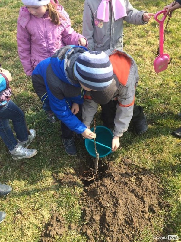 У луцькому дитсадку привчали дітлахів піклуватися про природу змалку. ФОТО. ВІДЕО