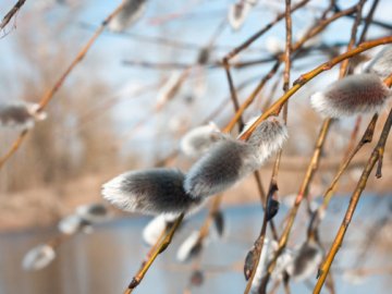Якою буде погода на Волині у понеділок, 29 березня