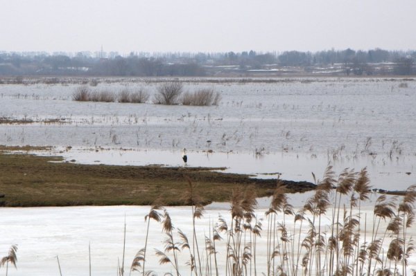 Під Луцьком підтоплює села. ФОТО