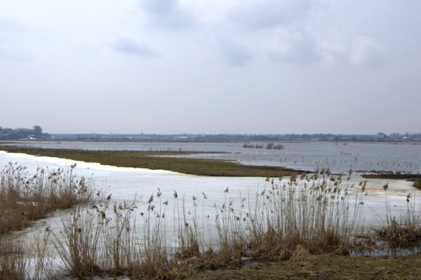 Під Луцьком підтоплює села. ФОТО