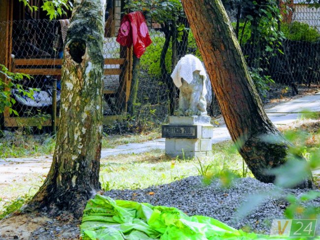 «Злидні» Світязю: ТОП-10 баз-розвалюх