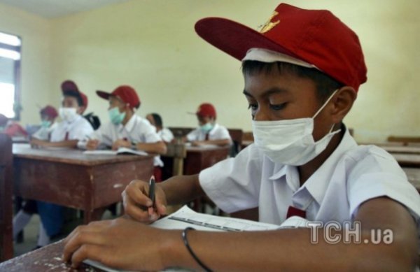 Виверження вулкану Сінабург в Індонезії. ФОТО. ВІДЕО