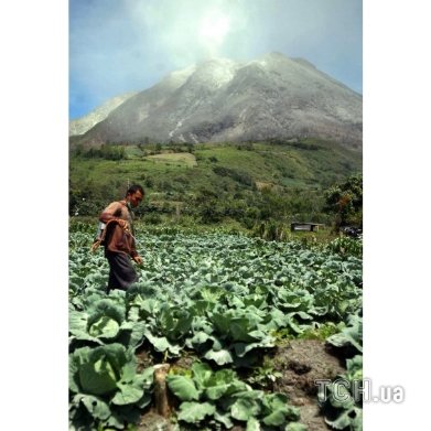 Виверження вулкану Сінабург в Індонезії. ФОТО. ВІДЕО