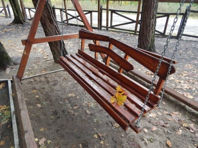 Атмосферні осінні світлини лісових рекреаційних зон на Волині. ФОТО