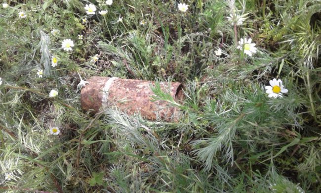 З початку року на Волині знешкодили більше 600 боєприпасів