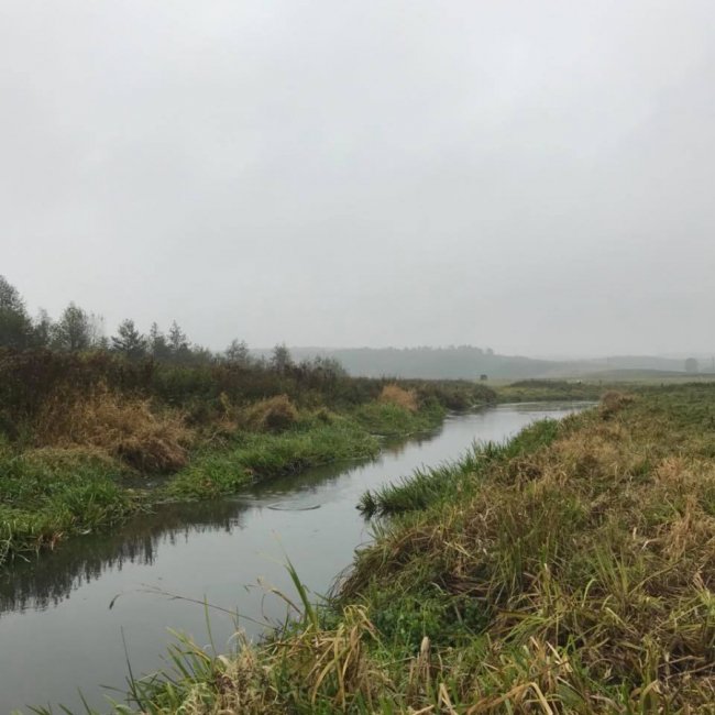 «Риболовля – це класно, якщо ви не провалюєтесь у боброву яму», – волинська журналістка