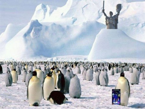 Апокаліптичний Київ і білі ведмеді: інтернет далі «смалить». Підбірка приколів №4