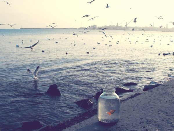 Фотовиставка Юлії Ткаченко