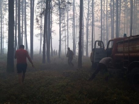 Під Луцьком кілька днів горів ліс. ФОТО