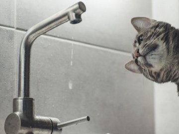 Чому у деяких мікрорайонах Луцька не було холодного водопостачання