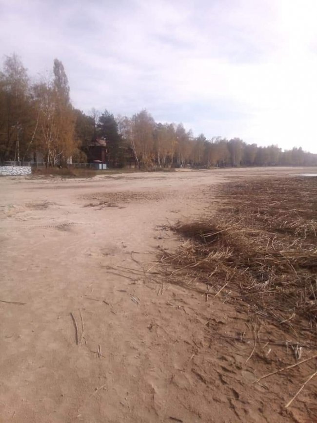 На деяких ділянках берега озера Світязь вода відійшла на 90 метрів. ФОТО