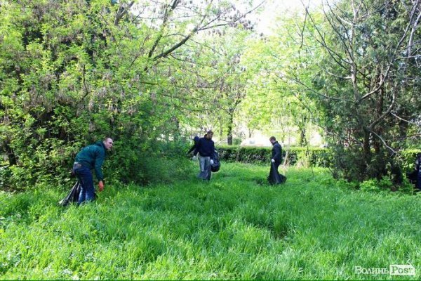 У Луцьку до свят прибрали 15 зелених зон. ФОТО