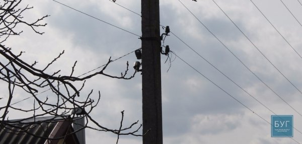 У Нововолинську на одній із вулиць 10 років працює наркоточка. ФОТО