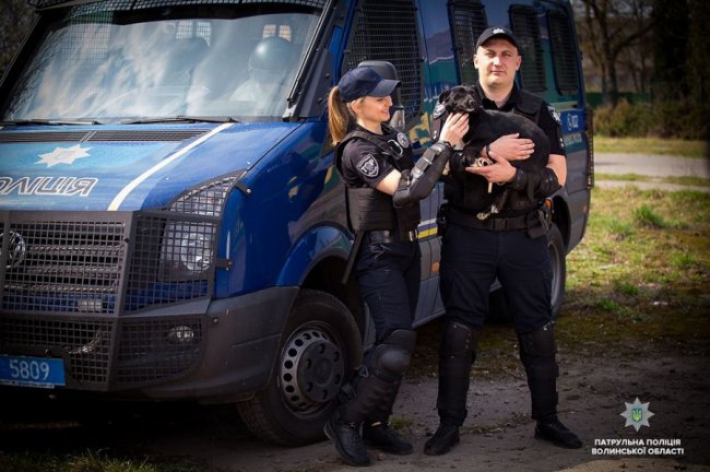 Добро робити легко: як волинські патрульні фотографувалися з безпритульними песиками