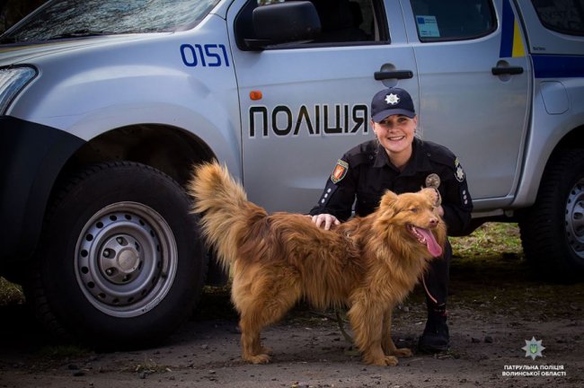 Добро робити легко: як волинські патрульні фотографувалися з безпритульними песиками