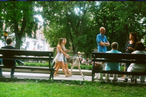 Фотовиставка Ігоря Семенюка