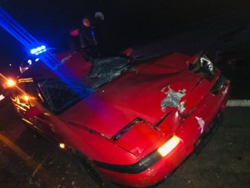 На Волині автівка збила лося: водія госпіталізували. ФОТО 18+