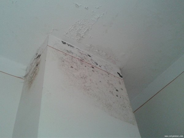 Як ремонтують колишній луцький кінотеатр. ФОТО