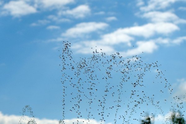 Луцьк вихідний. ФОТО