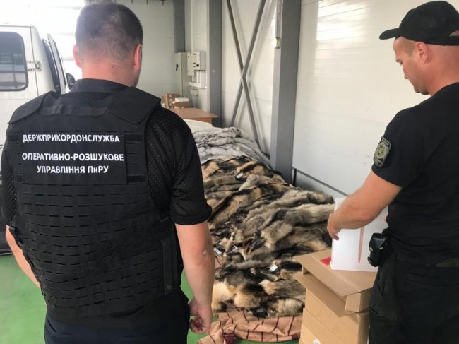Волинські прикордонники знайшли контрабандні комп'ютери та хутро. ВІДЕО. ФОТО 