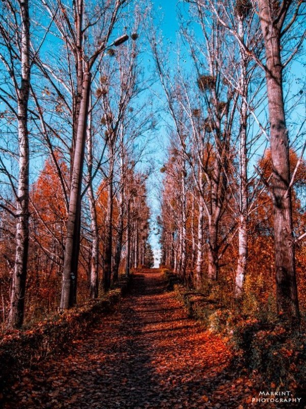 Луцькі парки восени. ФОТО