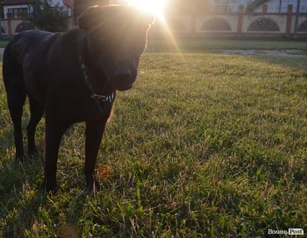 Місто, яке я люблю. Луцьк прокидається. Частина 2