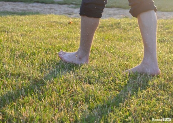 Ходіння по росі - заряд енергії і профілактика захворювань