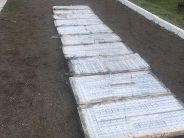 Волинські митники знайшли контрабандні цигарки у вантажному потязі. ФОТО