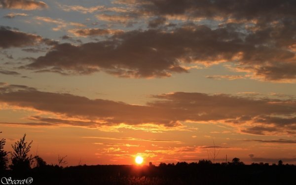 Фотовиставка Олександри Містюк
