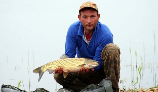 На Волині ловитимуть коропа дев'яносто дев'ять годин. ФОТО