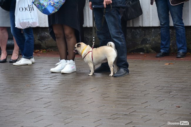 У Луцьку співали пісень В'ячеслава Хурсенка. ФОТО