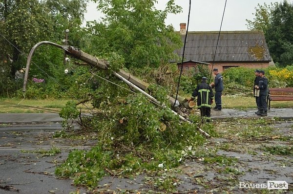 У Луцьку вітер звалив дерево на стовп: лінії електропередач валяються на дорозі. ФОТО. ОНОВЛЕНО