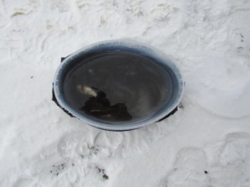 На Волині виявили продавців, які торгували рибою без документів