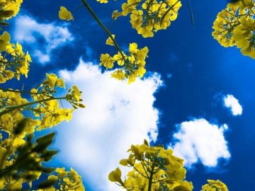 Добрі новини від ВолиньPost за 6 липня