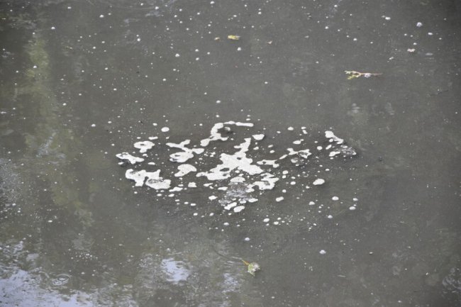 Проблема смороду у Луцьку: показали, що приміські села не мають нормальних очисних споруд