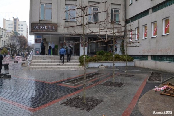 У центрі Луцька садять нові дерева