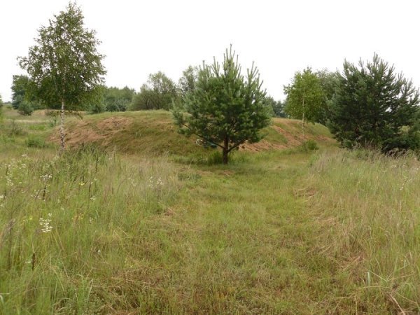 На Волині мародери зруйнували братську могилу. ФОТО