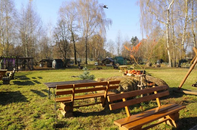 Мешканці Луцького зоопарку – в очікуванні зими. ФОТО