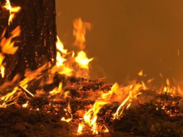 На Волині обгоріла жінка