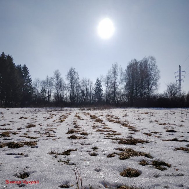 Луцький фотограф показав, де «лютневе сонечко лоскоче вії»