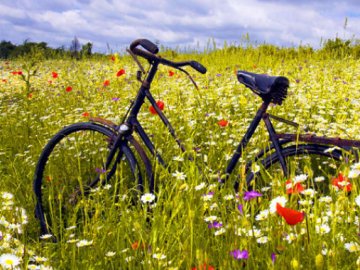 Погода у Луцьку та Волинській області на завтра, 22 червня