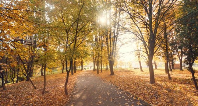 Де у Луцьку та районі можна зробити круті осінні фото: ТОП локацій