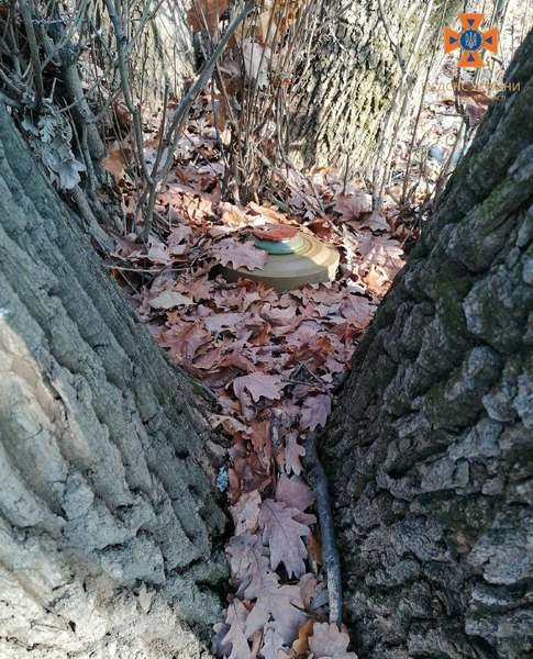 Як волинські сапери працюють на Донбасі. ФОТО