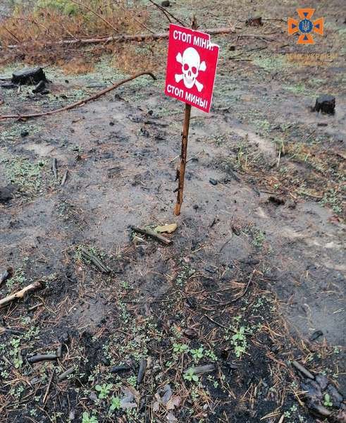 Як волинські сапери працюють на Донбасі. ФОТО