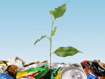 Волинські громади навчали правильно боротись зі сміттям. ВІДЕО