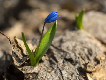 Погода в Луцьку та Волинській області на четвер, 29 квітня
