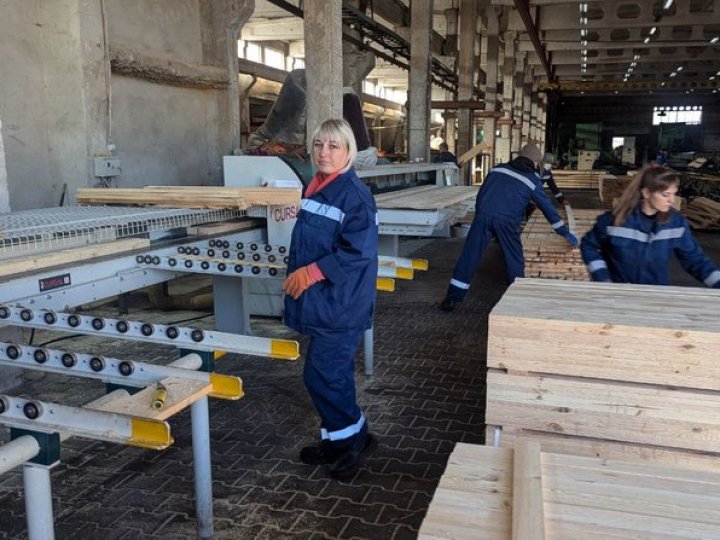 Опанували деревообробні верстати: 59 волинянок взяли участь в експериментальному проєкті