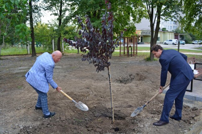 У Луцьку біля перинатального центру з'явився «Сквер майбутнього»